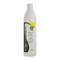 Kismera-Regenerating-Shampoo-169oz