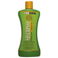 OKAY-Roots-Therapy-Revitalizing-Shampoo-12-Oz